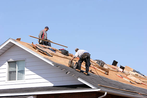 Best Emergency Roof Repair Services  in Chester Gap, VA